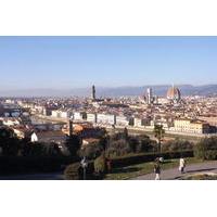 Florence Tour with Panoramic Views and Aperitivo