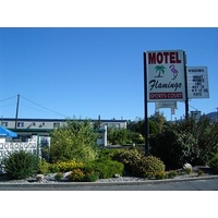 Flamingo Motel