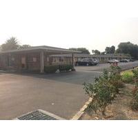 Flamingo Motel