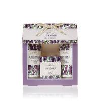 Floral Collection Lavender Mini Gift Set