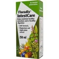 Floradix IntestCare 250ml