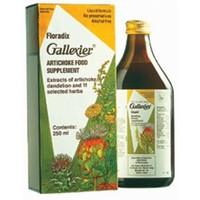 Floradix Gallexier Artichoke Food Suppl 250ml