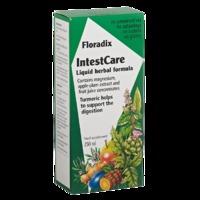 floradix intestcare liquid herbal formula 250ml 250ml peppermint
