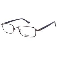 Flexon Eyeglasses FL 666 33