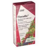 Floradix Elixir 500 ml