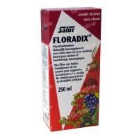 Floradix Elixir 250 ml