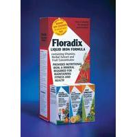 floradix liquid iron formula 250ml