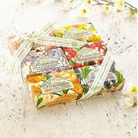 Florentine Soaps