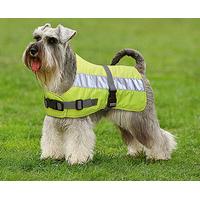 Flectalon Dog Jacket 10\