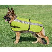 flectalon dog jacket 30