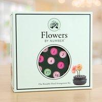 Flowers By Numbers Starter Kit 371999