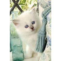 Florice The Cat, 200pc Jigsaw Puzzle