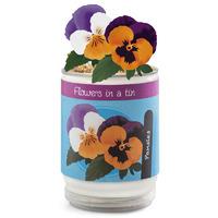 Flowers In A Tin