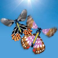 Fluttering Butterfly