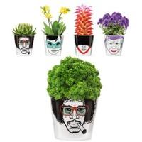 Flower Pot Heads
