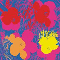 Flowers c.1964 ( red, yellow, orange on blue) by Andy Warhol
