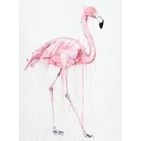 Flamingo I By Dave White
