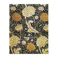 Floral Design, 1884 By William Morris