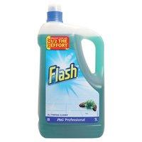 Flash (5 Litres) ll Purpose Cleaner for Washable Surfaces (Pine Fragrance) Ref VPGFLP5