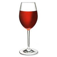 Flamefield Polycarbonate Wine Glasses 10oz / 290ml (Pack of 2)