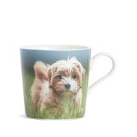 Fluffy Dog Digital Print Mug