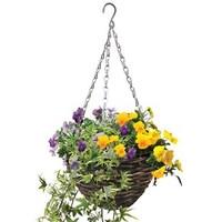 Floral Mixed (Autumn) 4 Pre-Planted Rattan Baskets