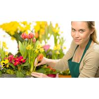 Floristry Online Diploma Course with Bonus Course in Social Media Marketing for Business