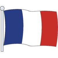 FLAG - FRANCE - SMALL 183 X 091