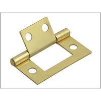 Flush Hinge Brass Finish 40mm Pack of 2