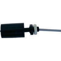 Float switch 230 Vac 0.4 A 1 change-over REED Electronics R1/8\