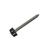 Floplast Stainless Steel Fixing Screw (Dia)10mm (L)50mm Pack of 10