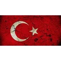 flags turkey 1 red leather back flip case sleeve cover with colourful  ...