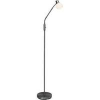 Floor standing light LED E14 Brilliant Philo G16358/13 Iron