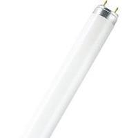 fluorescent tube 590 mm osram 230 v g13 18 w warm white eec a tube sha ...