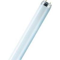 Fluorescent tube 590 mm OSRAM 230 V G13 18 W Cold white EEC: A Tube shape 1 pc(s)