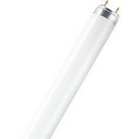 Fluorescent tube 1200 mm OSRAM 230 V G13 36 W Warm white EEC: A Tube shape 1 pc(s)