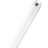 fluorescent tube 438 mm osram 230 v g13 15 w warm white eec b tube sha ...