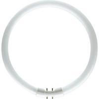 Fluorescent tube 230 mm OSRAM 230 V 2GX13 22 W Neutral white EEC: A Ring shape 1 pc(s)