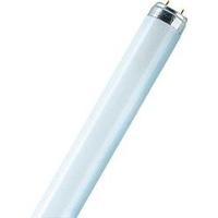 fluorescent tube 1500 mm osram 230 v g13 58 w cold white eec a tube sh ...