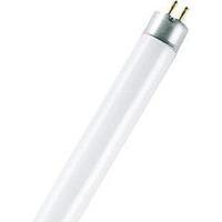 Fluorescent tube 288 mm OSRAM 230 V G5 8 W Cold white EEC: A Tube shape 1 pc(s)