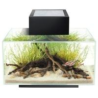 fluval edge aquarium 23 litre gloss black