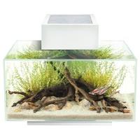 Fluval Edge Aquarium 23 Litre Gloss White