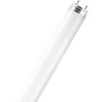 fluorescent tube 1500 mm osram 230 v g13 58 w warm white eec a tube sh ...