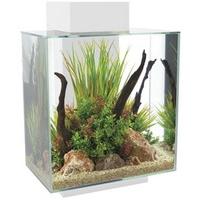 fluval edge aquarium 46 litre gloss white