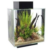 Fluval Edge Aquarium 46 Litre Gloss Black