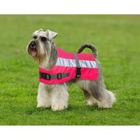Flecta - Hi Vis Dog Jacket - Pink - 56cm (22\