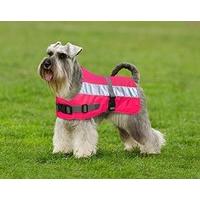 Flecta - Hi Vis Dog Jacket - Pink - 71cm (28\