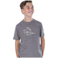 Flow Society T-Shirt LUCAS boys\'s Children\'s T shirt in grey