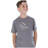 flow society t shirt lucas boyss childrens t shirt in grey