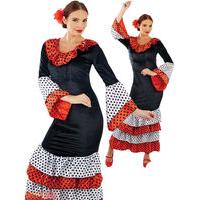 Flamenco Dancer